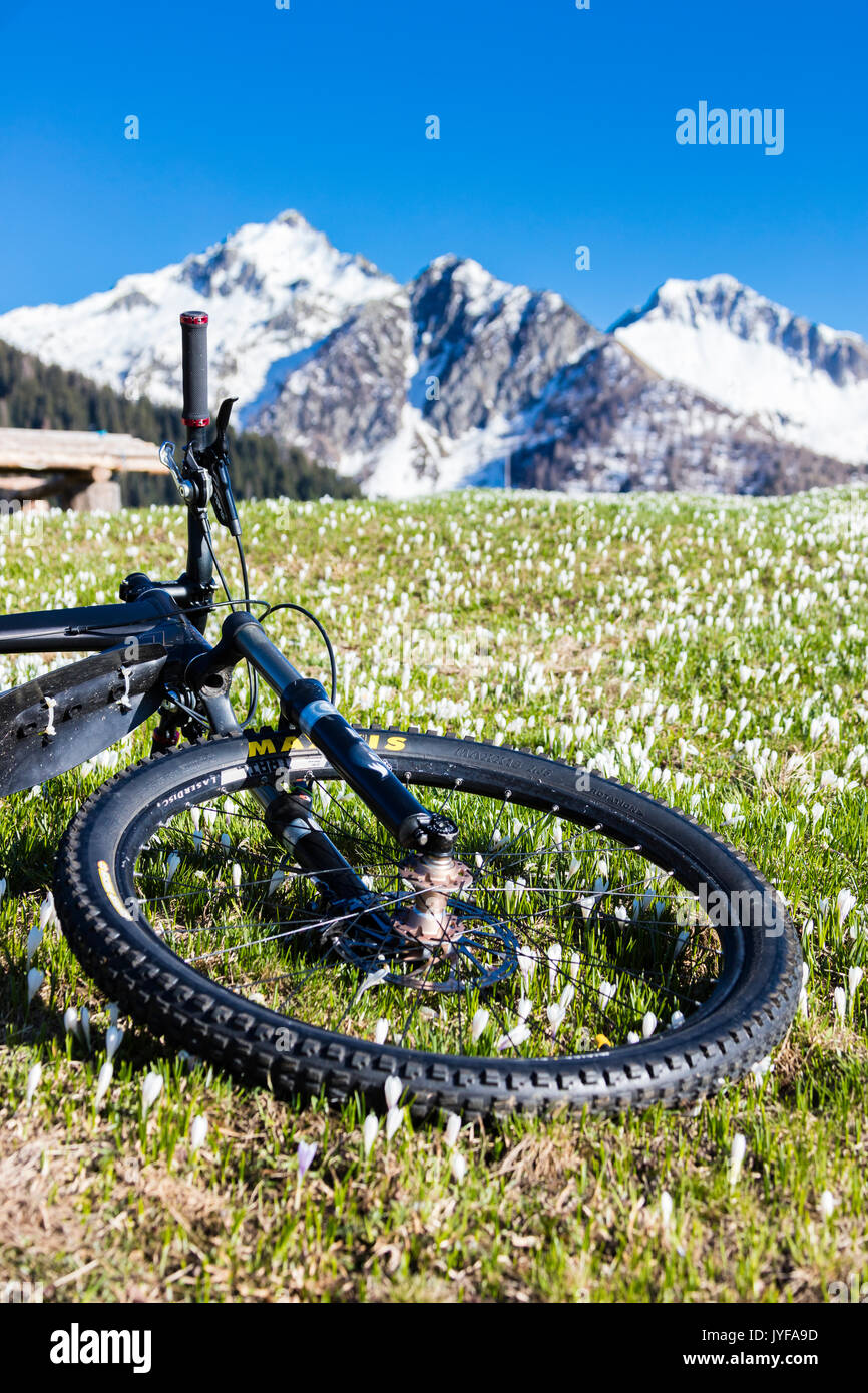 green valley mountain bike
