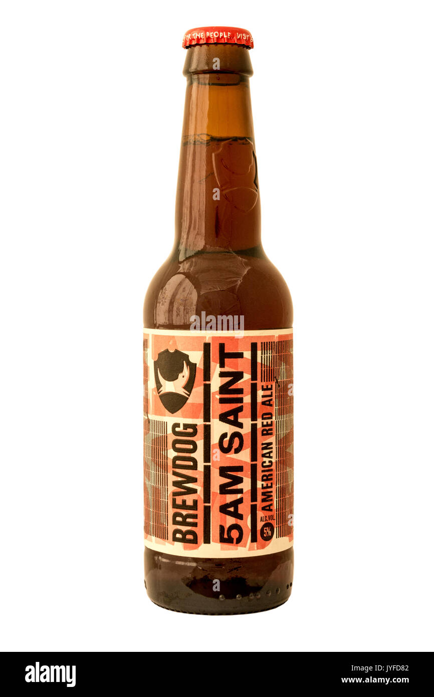 samtidig Opdagelse Fjendtlig Brewdog Brewery - 5AM Saint (American Red Ale) Bottled Beer Stock Photo -  Alamy