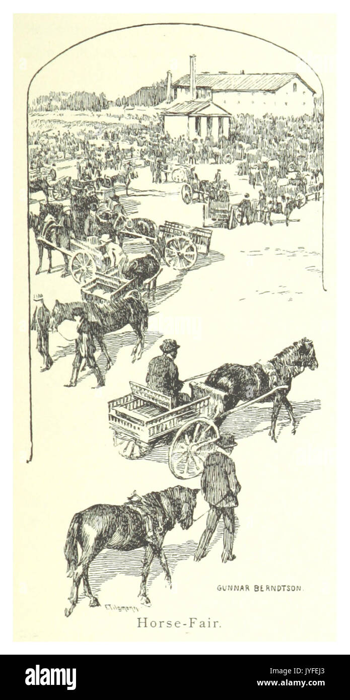 MECHELIN(1894) p197 Horse Fair Stock Photo