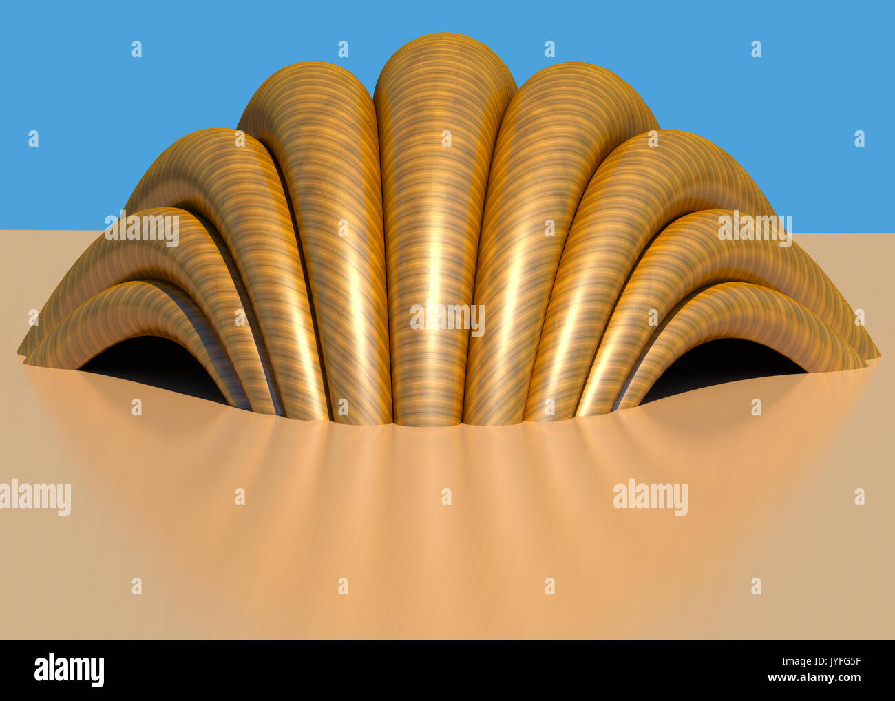 What Is A Shell Structure Made Of at Hayley Eliza blog