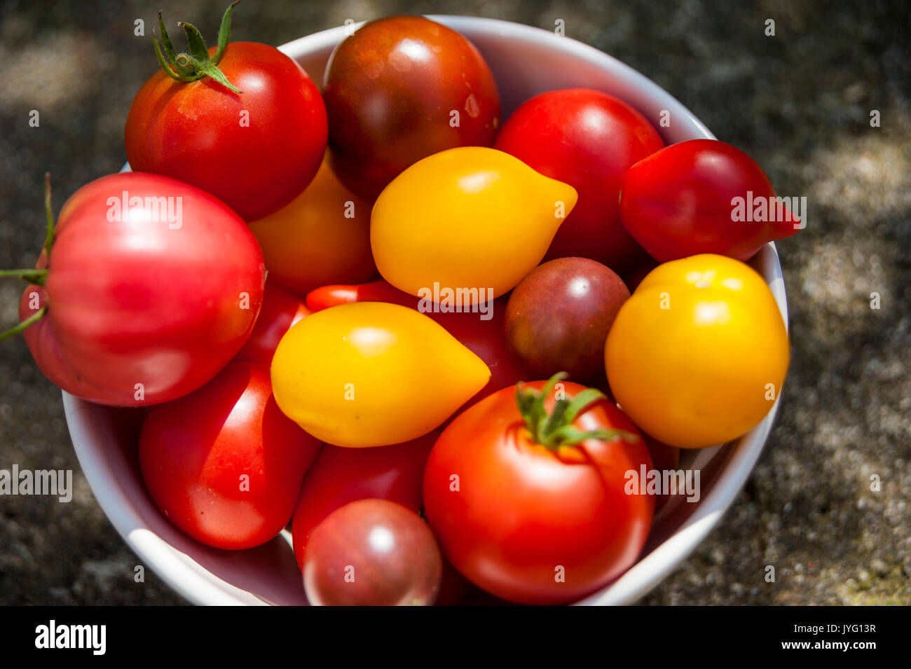 Varieties of Tomatoes Stock Photo - Alamy