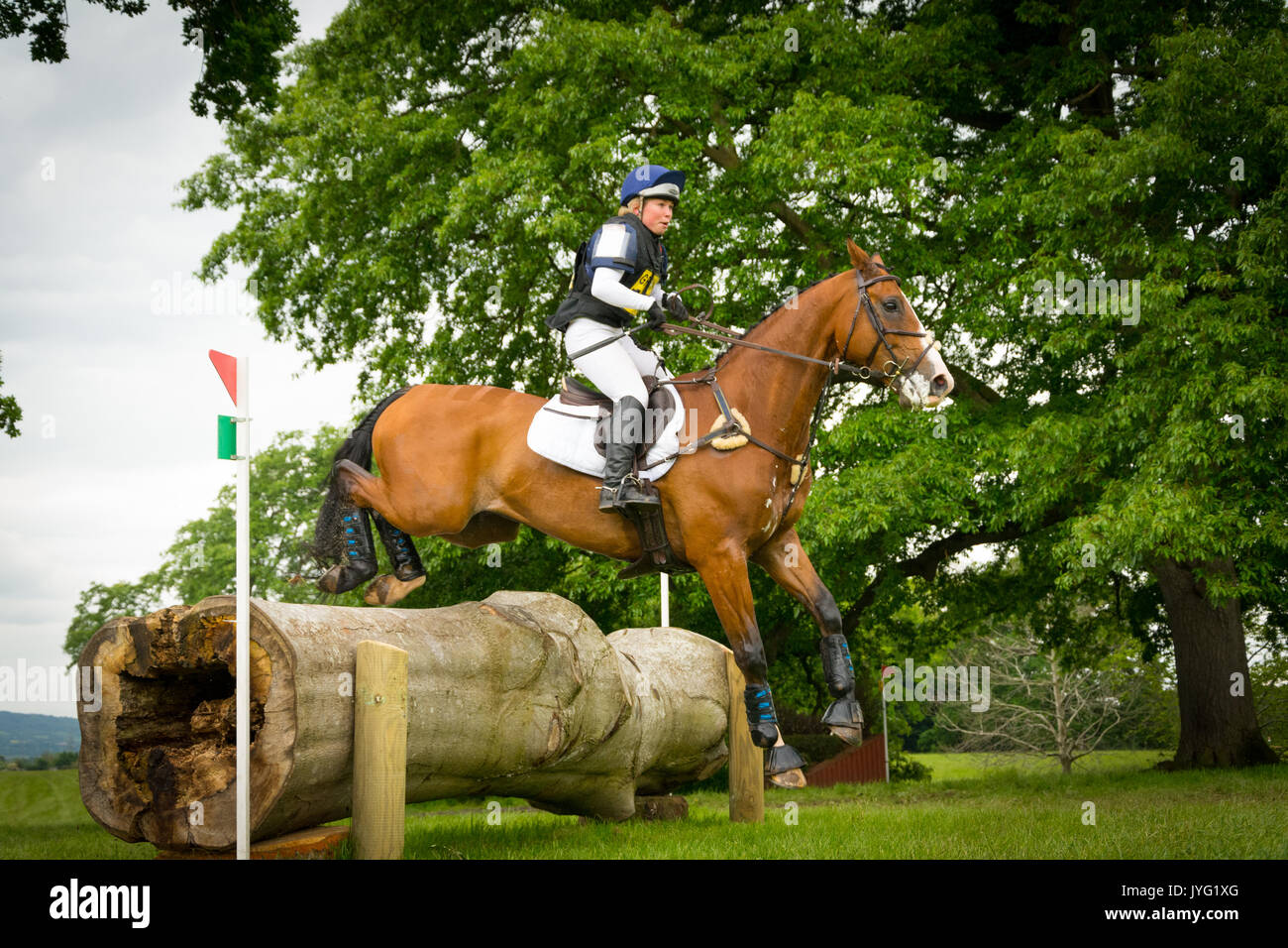A rider performs a jump during a horse race in Somerset, UK Stock Photo