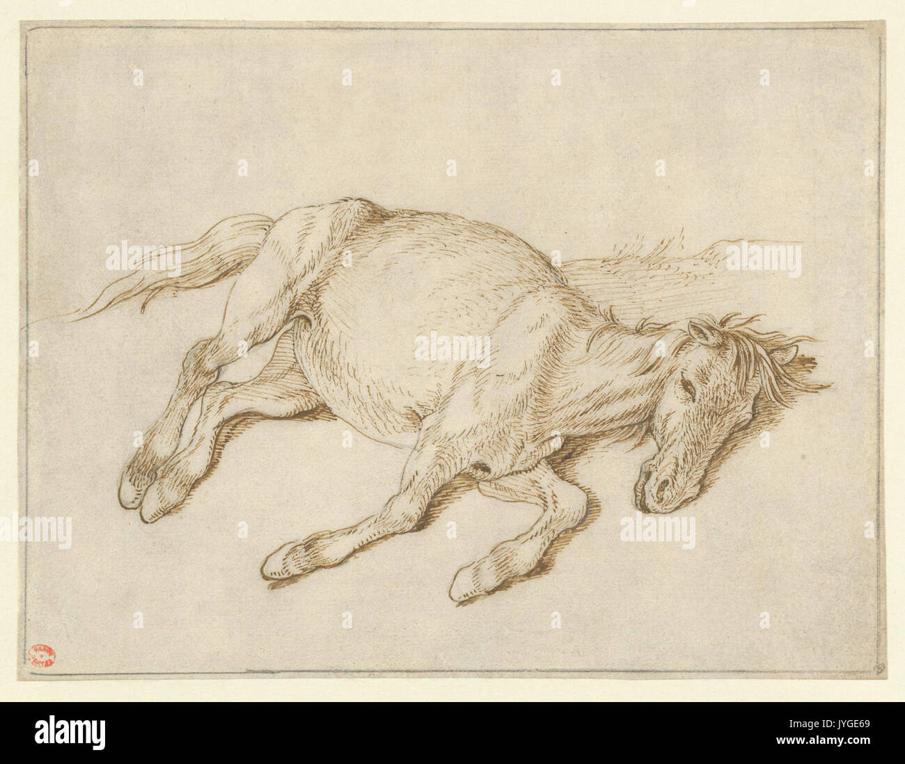 A Horse Laying on its Side MET DP854925 Stock Photo Alamy