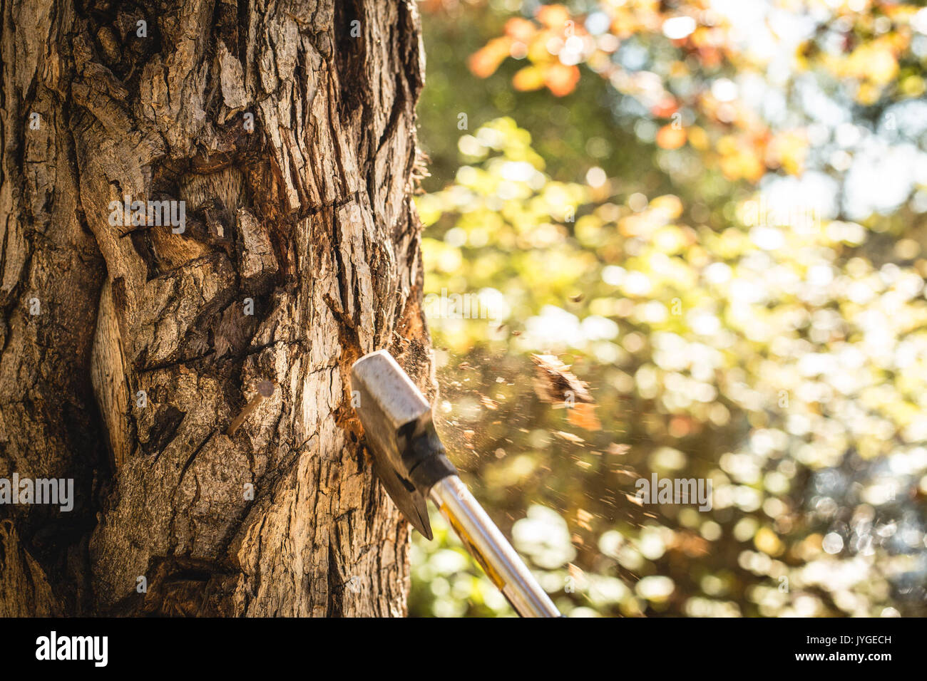 Archival inventory photograph entry hi-res stock photography and images ...
