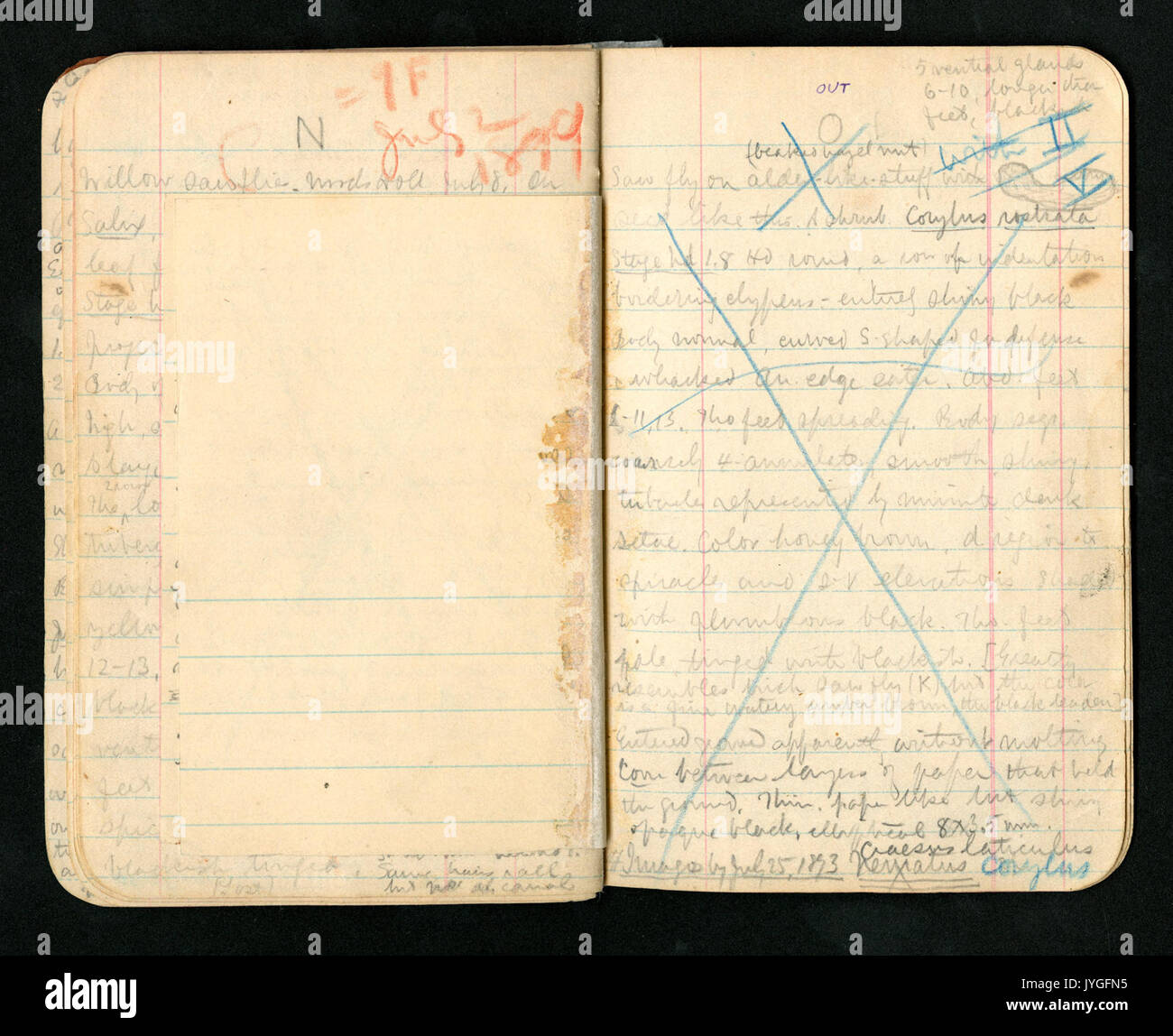 30 Pages High Resolution Stock Photography and Images - Alamy
