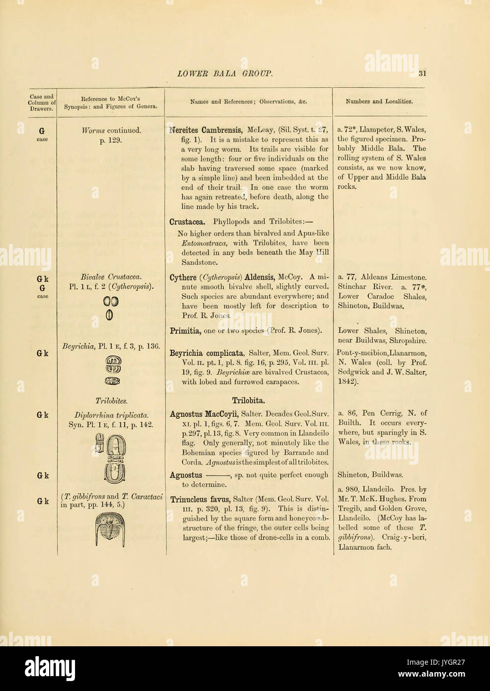 This page from the catalog of Cambrian and Silurian fossils at the