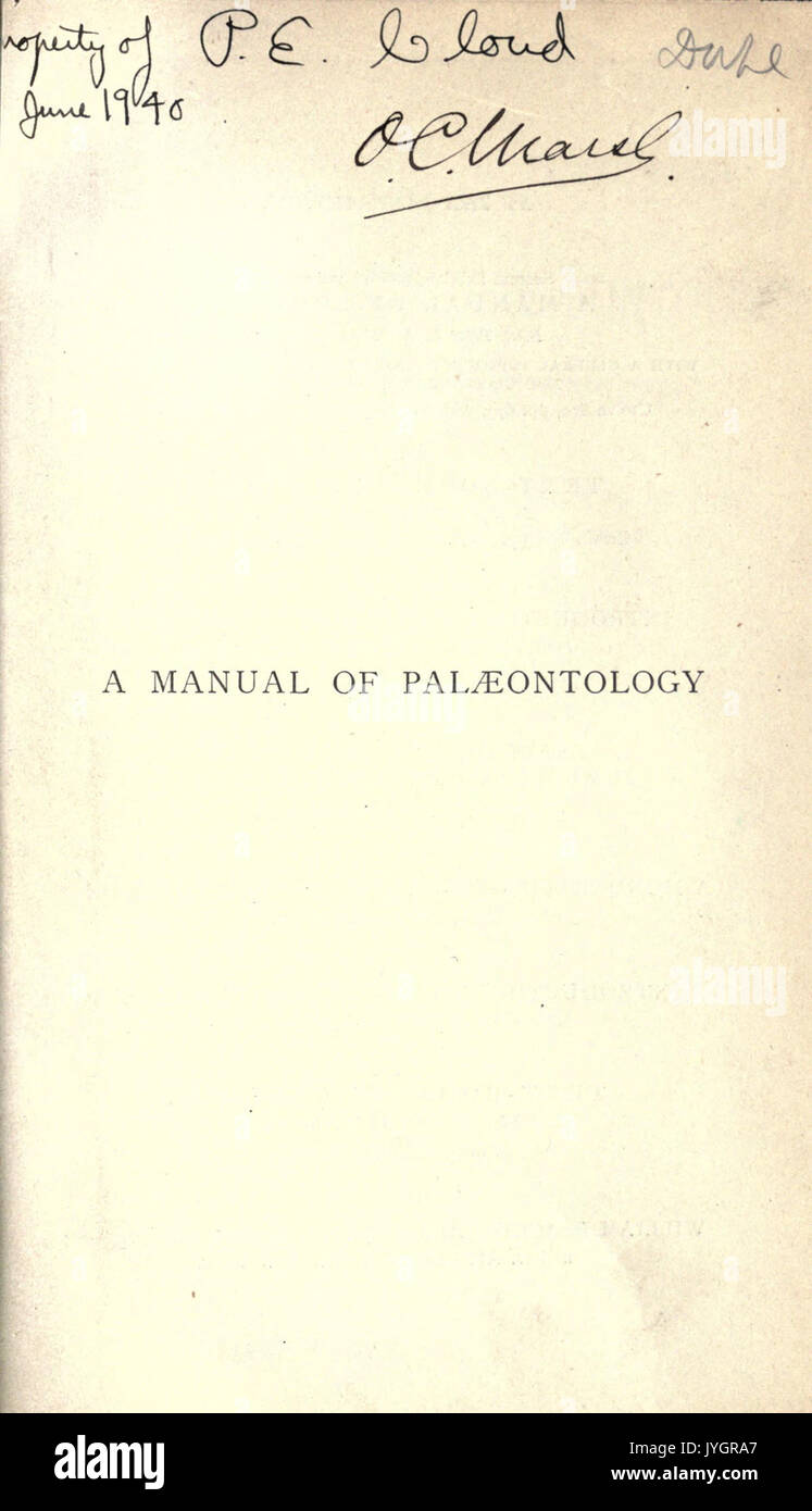 A manual of palaeontology for the use of students with a general introduction on the principles of palaeontology BHL22354602 Stock Photo