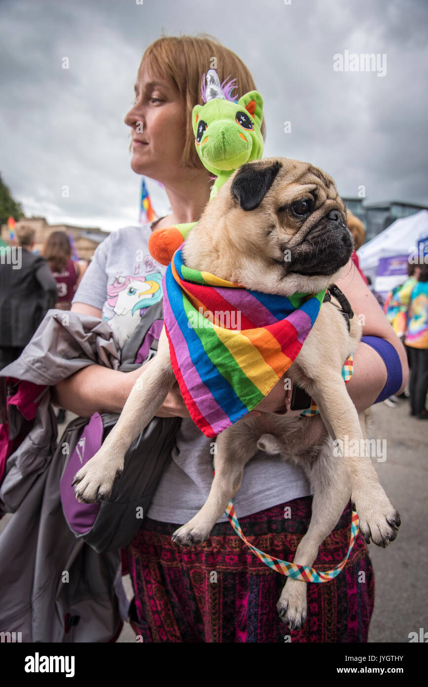 Chester. United Kingdom. 19th August 2017. Scenes from the Chester Pride parade today in the centre of Chester. Hundreds, including Suzy Emsden and her bulldog Alfie, turned out in the rain to take part in LGBT celebration with many dressed in colourfull costumes. The event is supported by local business. Credit: John Davidson Photos/Alamy Live News Stock Photo