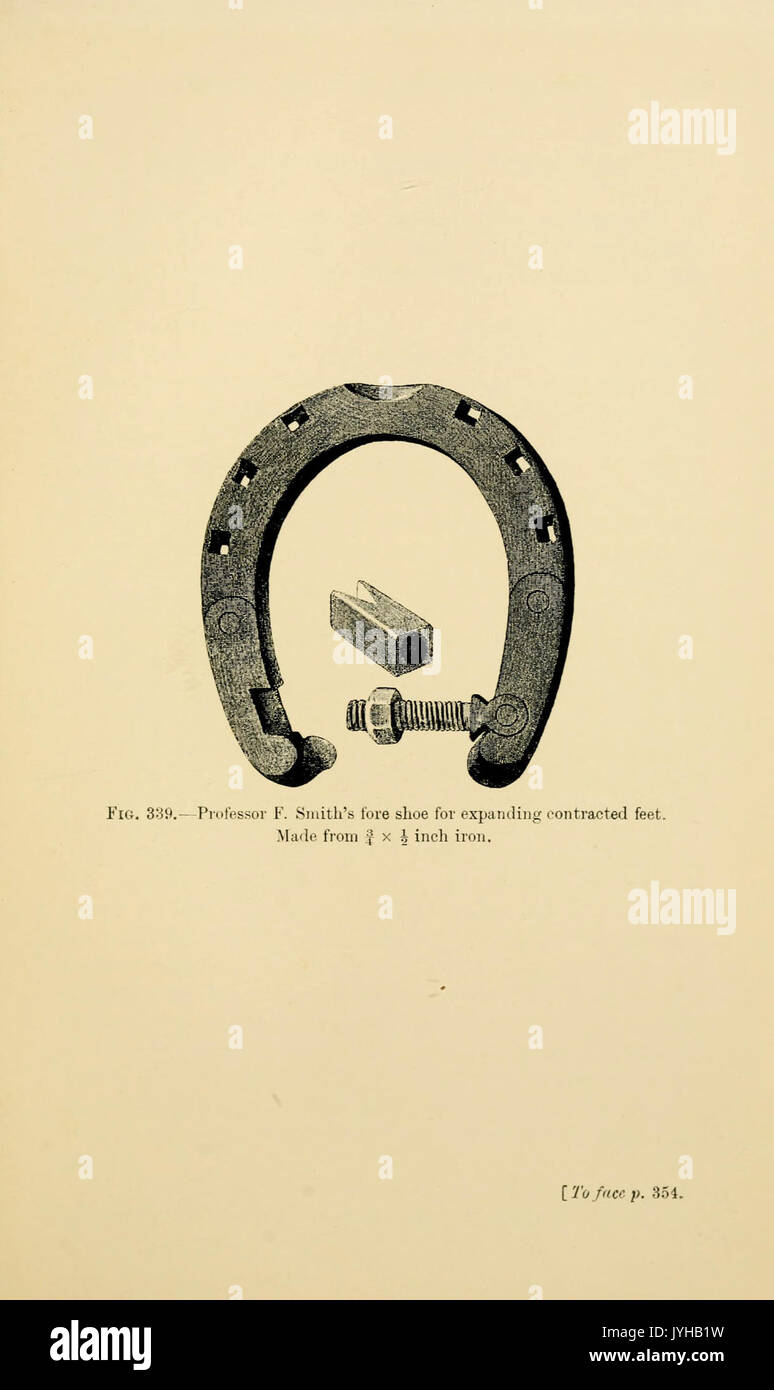 a-handbook-of-horse-shoeing-bhl22349969-stock-photo-alamy