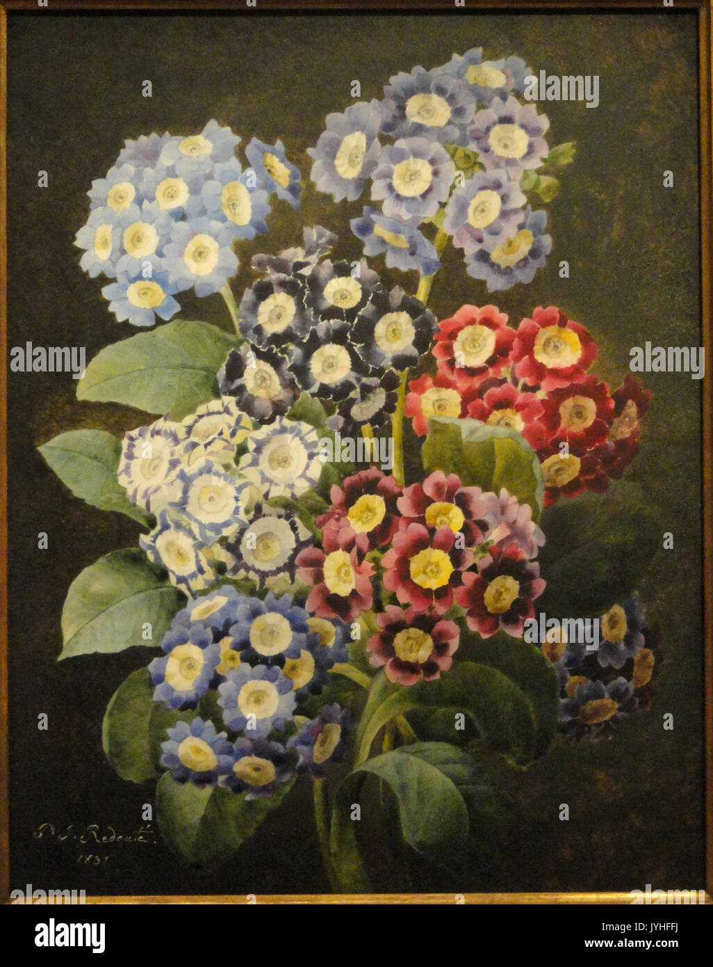 A Bouquet of Auriculas by Pierre Joseph Redoute, dated 1837, watercolor