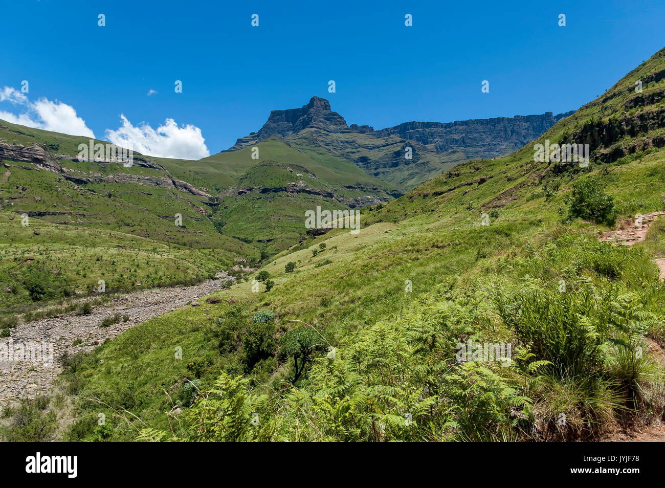 Path, walk to Thukela waterfall in Royal Natal Park Drakensberg mountain, South Africa Stock Photo