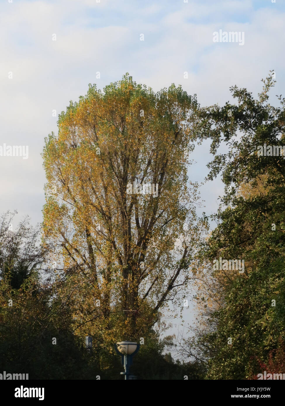 Climate resilient city hi-res stock photography and images - Alamy