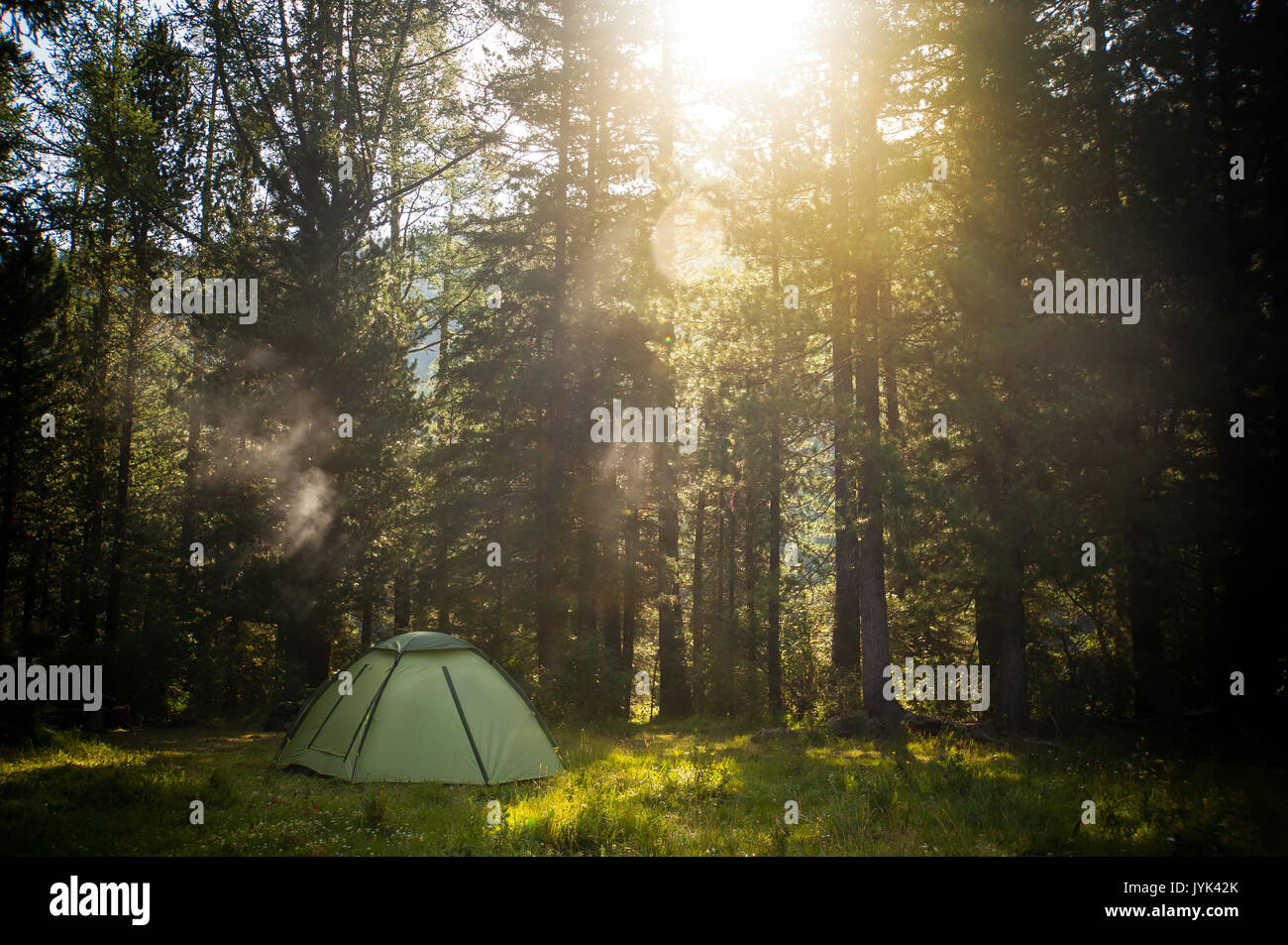 Adventures Camping and tent under the pine forest near water outdoor in ...