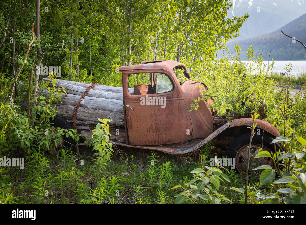 Old rusty Car, Oldtimer, Ford, Seward, Kenai Peninsula, Alaska, USA