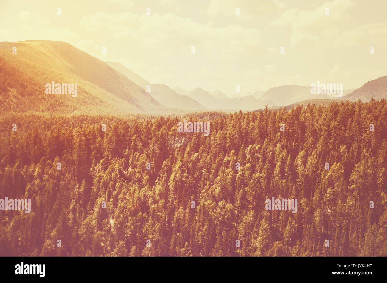 Marred High Resolution Stock Photography and Images - Alamy