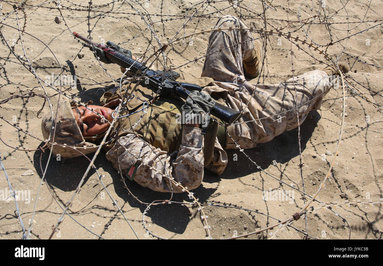 A recruit from Charlie Company, 1st Recruit Training Battalion, crawls under barbed wire during the Bayonet Assault Course at Marine Corps Recruit Depot San Diego, Aug. 8. The recruits were instructed to keep the barbed wire away from their faces by using their rifles and gloves. Annually, more than 17,000 males recruited from the Western Recruiting Region are trained at MCRD San Diego. Charlie Company is scheduled to graduate Sept. 1. Stock Photo