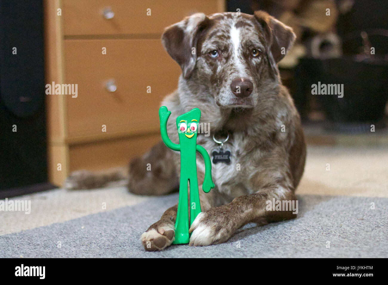 2017 365 56 Gumby IS Fun and Flexible (32276516264) Stock Photo