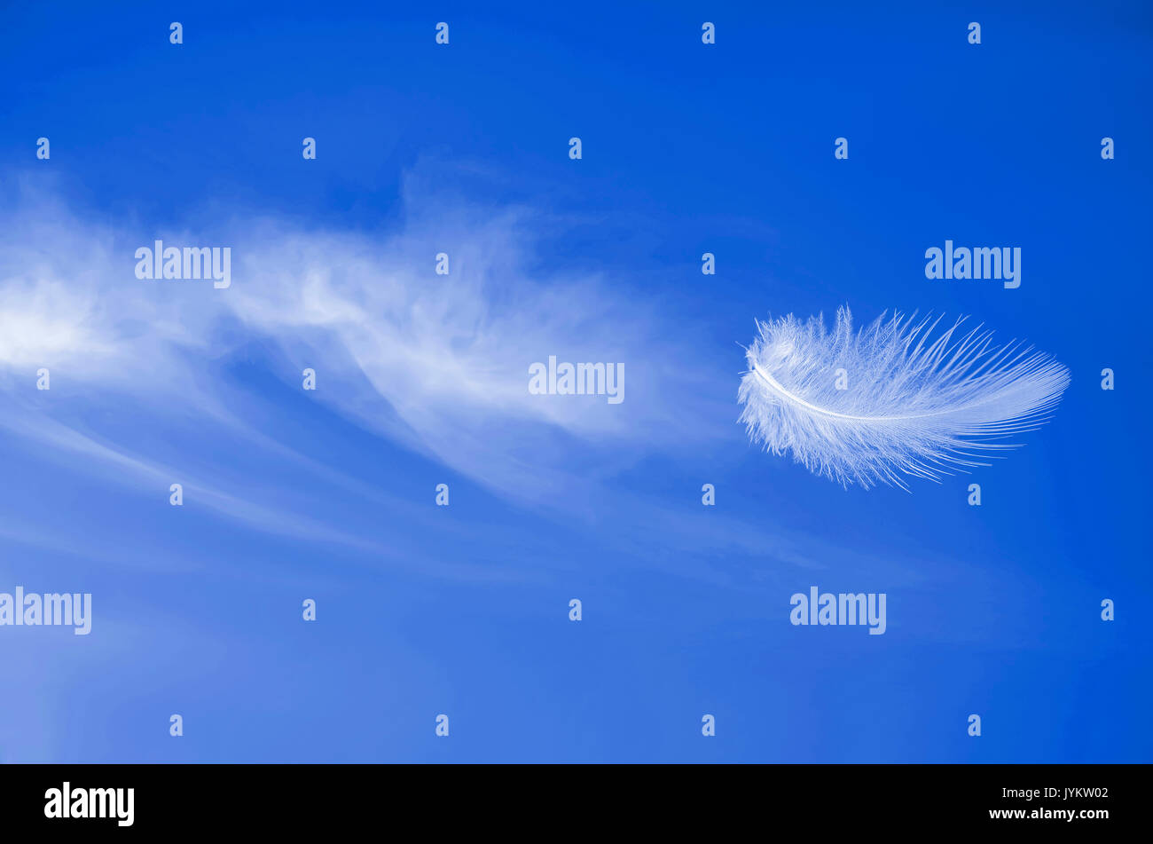 Soaring flight of white aerial fluffy feather at blue sunny sky with beautiful cirrus clouds Stock Photo