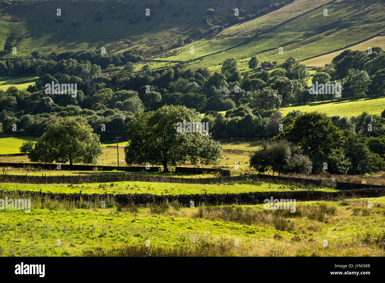 Beautiful green summer countryside in the hills of the High Peak in Northern England. Stock Photo