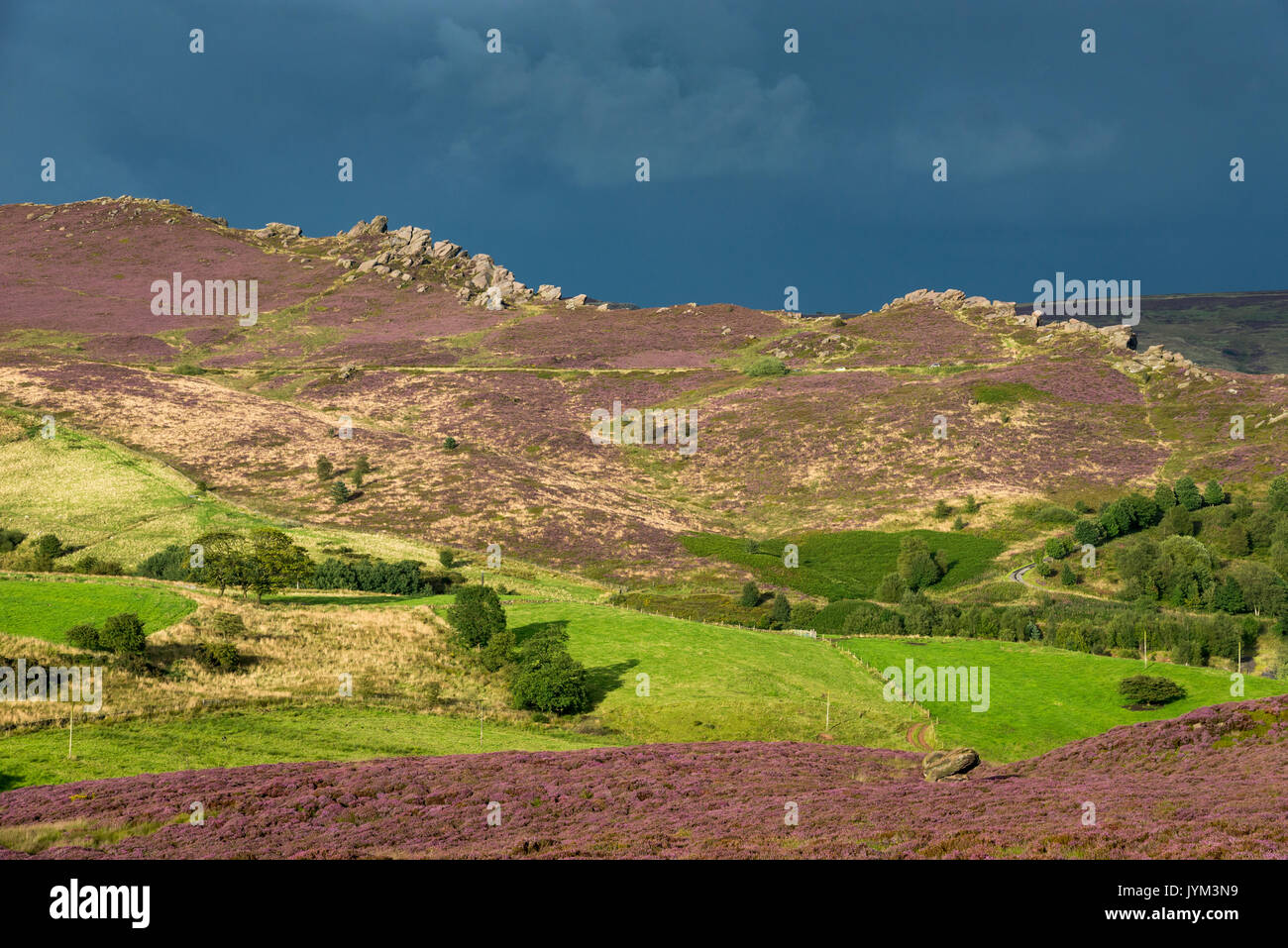 Dramatic view of Ramshaw rocks in sunlight with dark, moody sky in the background. Viewed from The Roaches, Peak District, England. Stock Photo