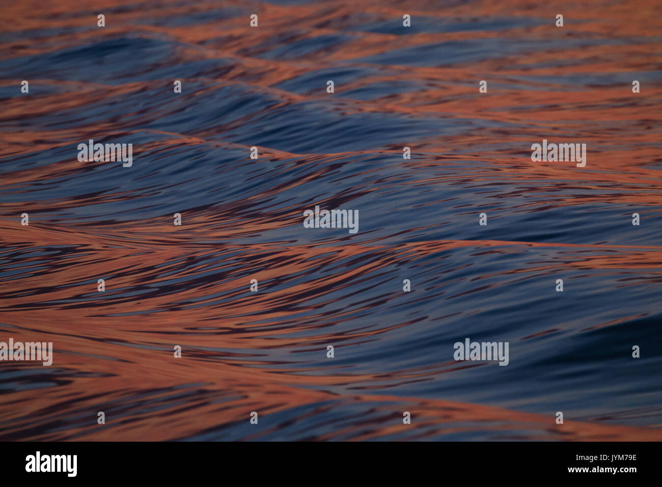 Boat wake low angle hi-res stock photography and images - Alamy