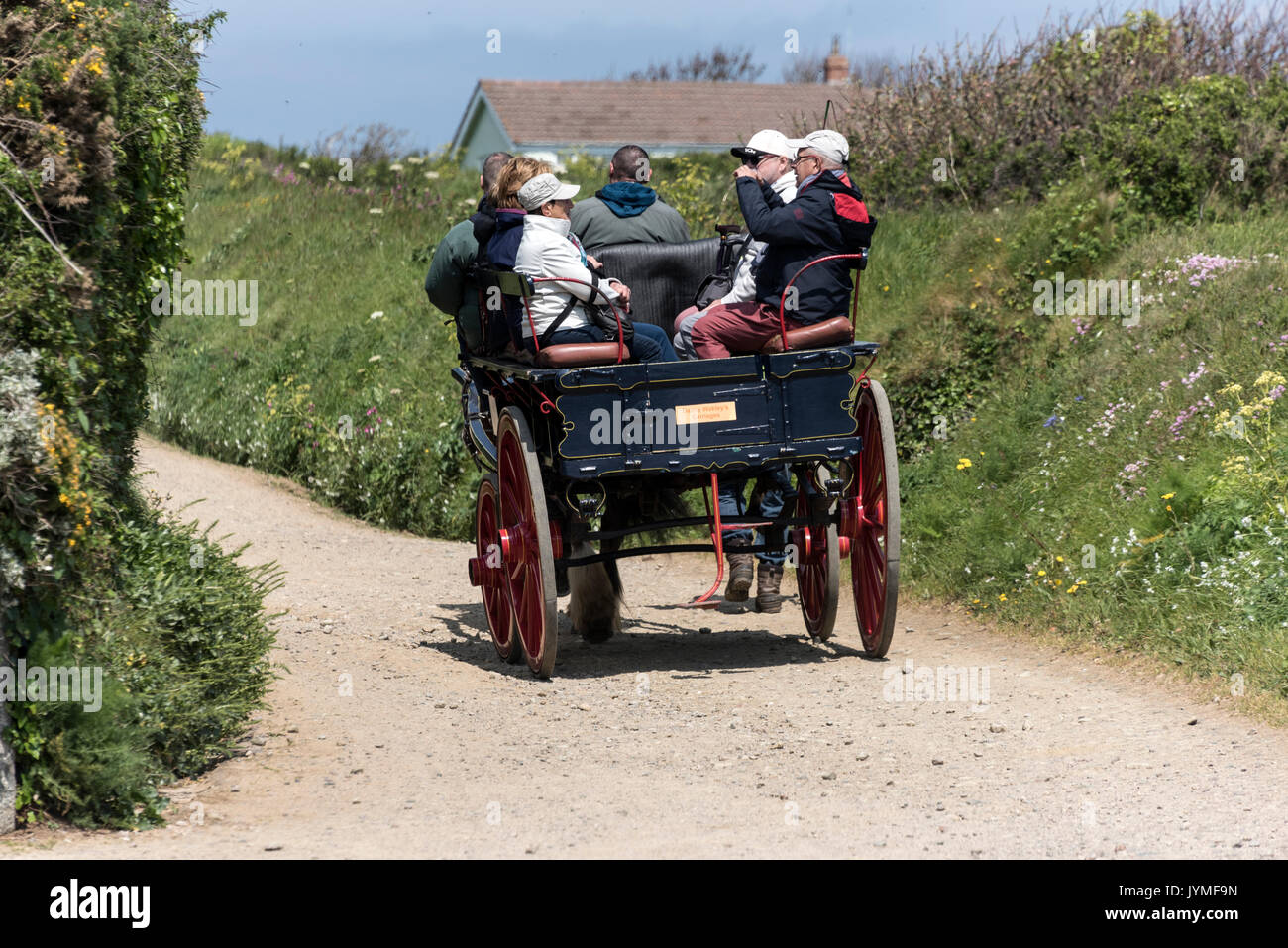 A small group of day tourists taking a ride on some of the horse drawn carriage for a trip around the Isle of Sark, Bailiwick of Guernsey in the Chann Stock Photo