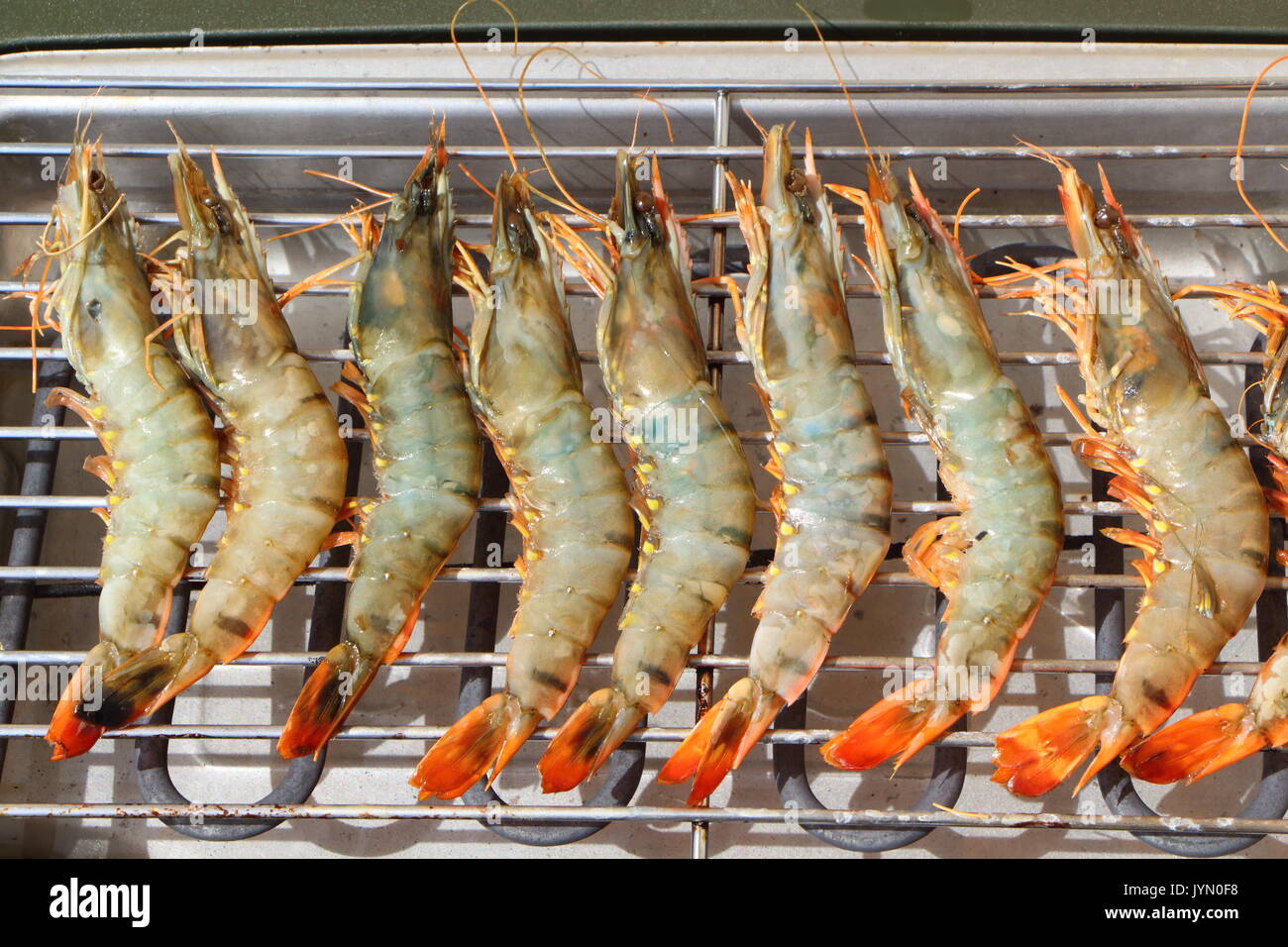 Raw fresh prawns on the rack of an electric barbecue during summer Stock Photo