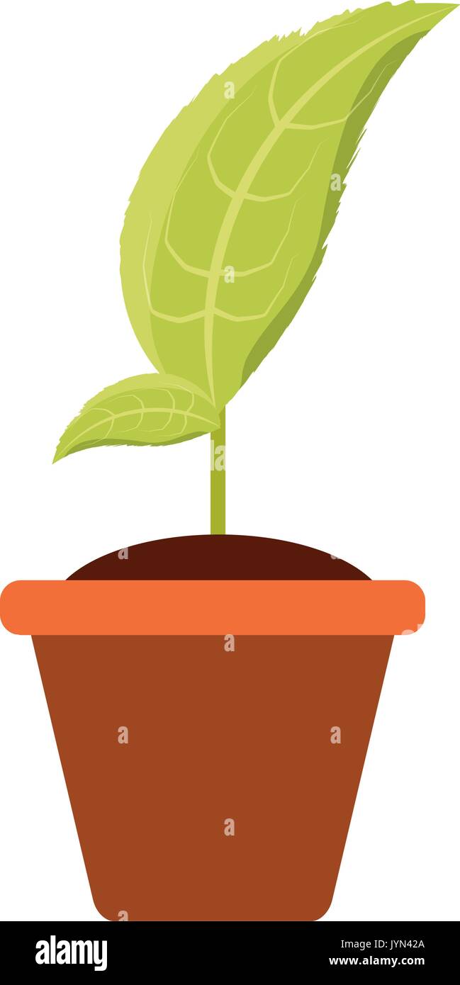 Plant in pot vector illustration Stock Vector Image & Art - Alamy