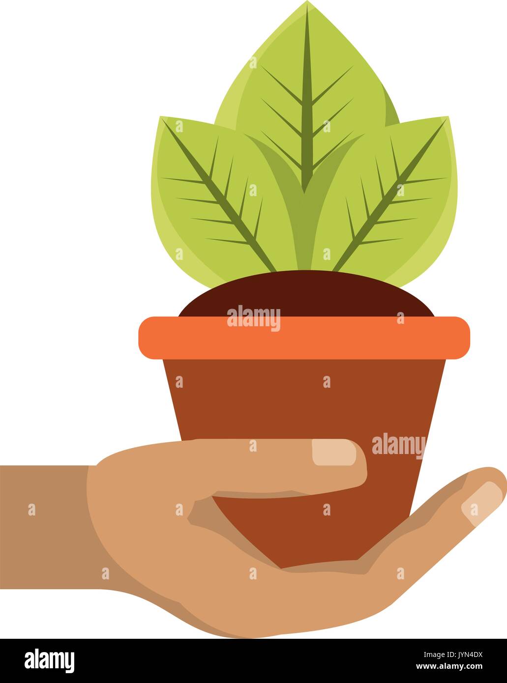 Plant in pot vector illustration Stock Vector Image & Art - Alamy