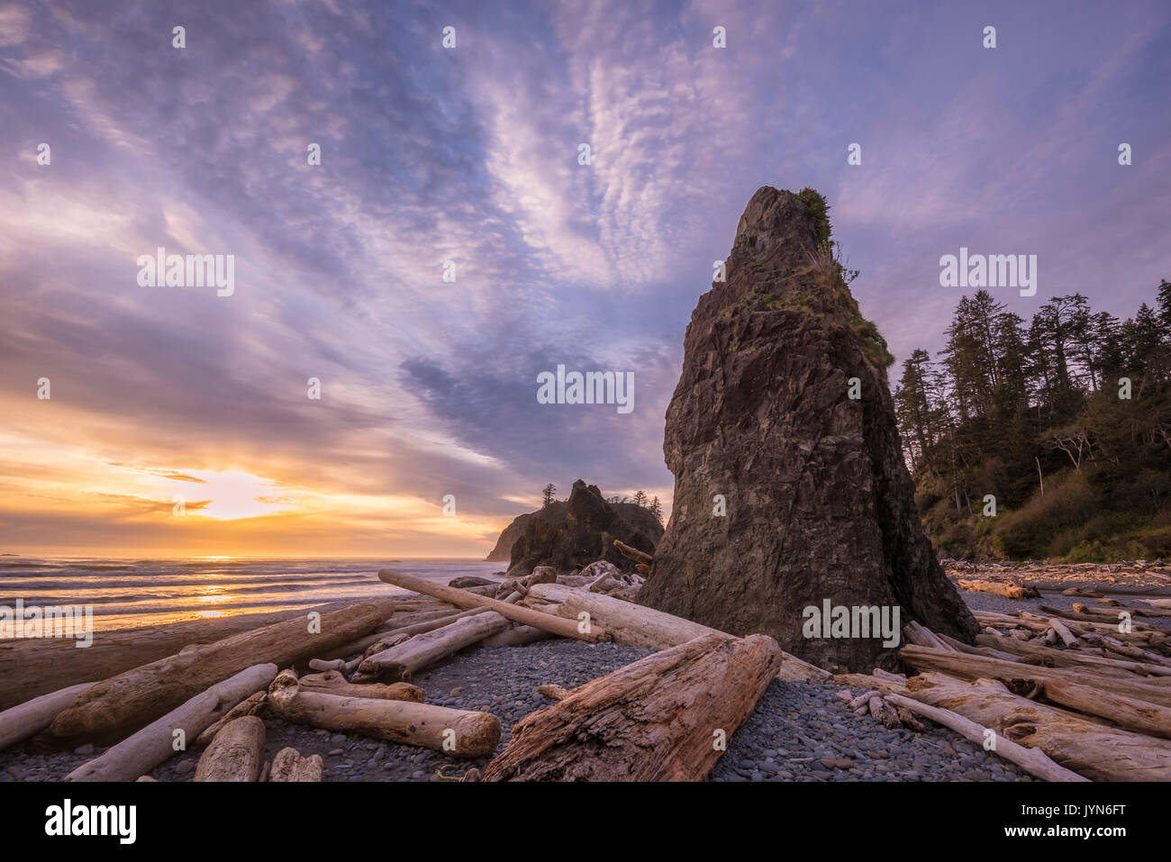 Driftwood, sea stack and sunset at Ruby Beach, Olympic National Park, Washington. Stock Photo