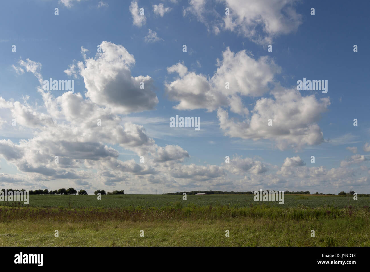 White puffy clouds on a beautiful day over a field. Stock Photo