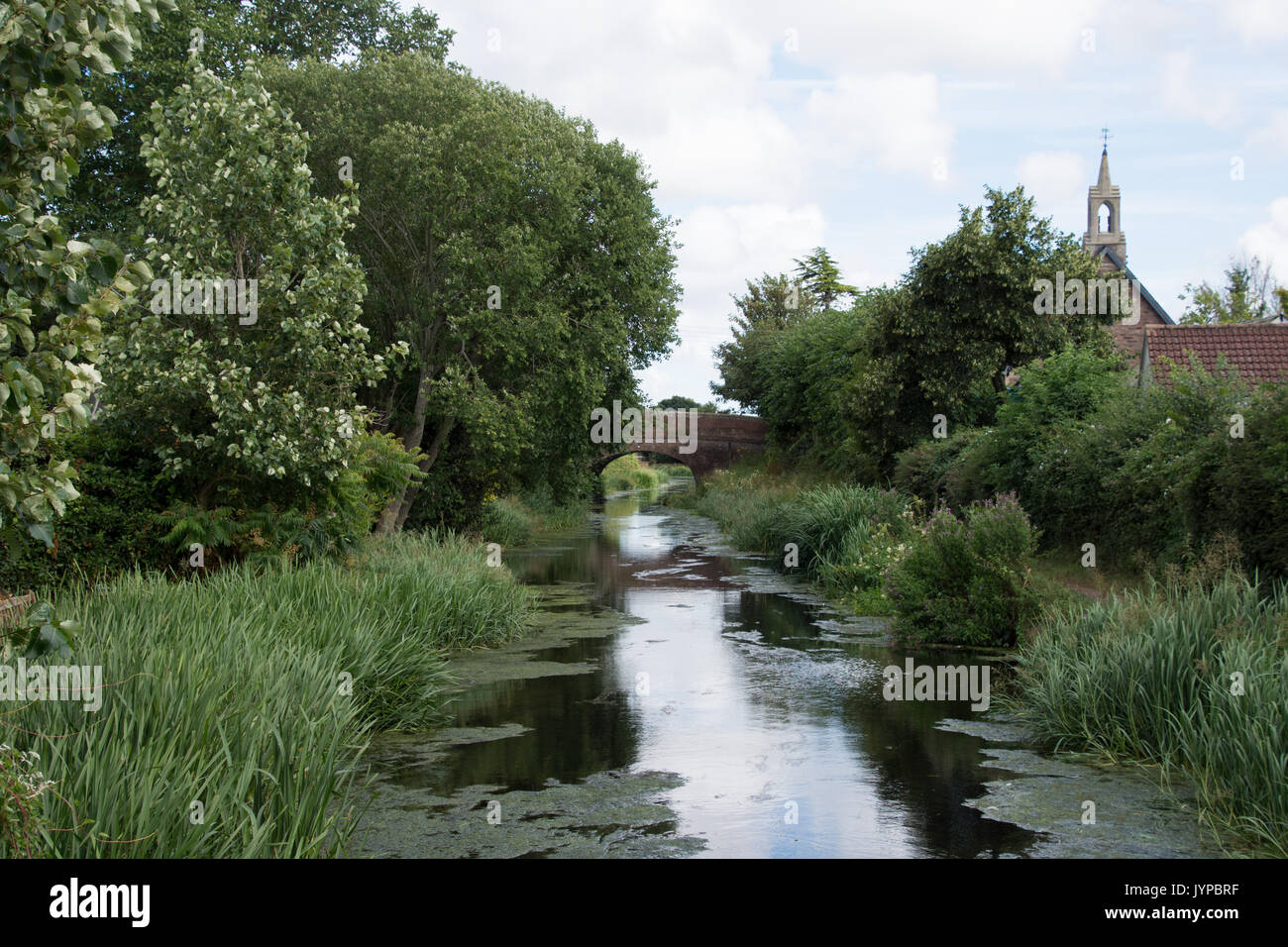 Taunton and Bridgewater canal, West Monkton Stock Photo