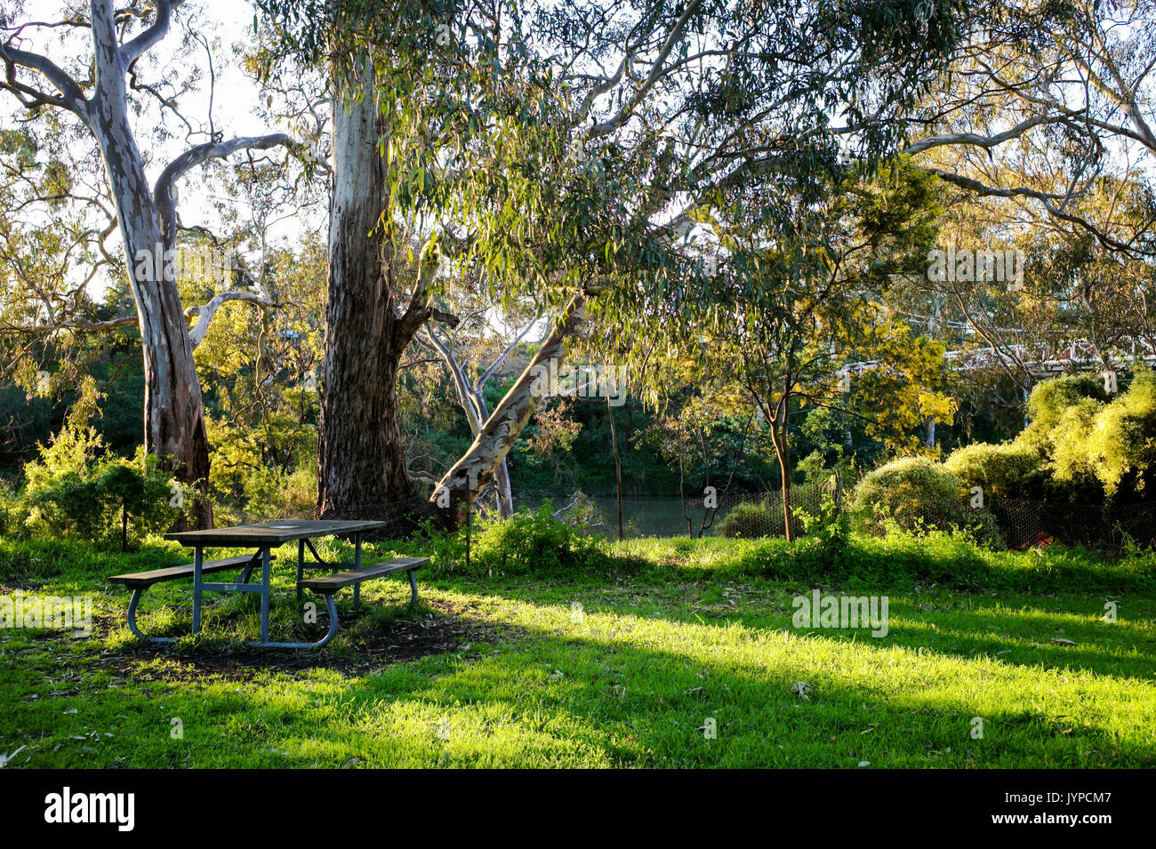 Picnic table in afternoon sunlight at Yarra Bend Park, Melbourne, Australia Stock Photo