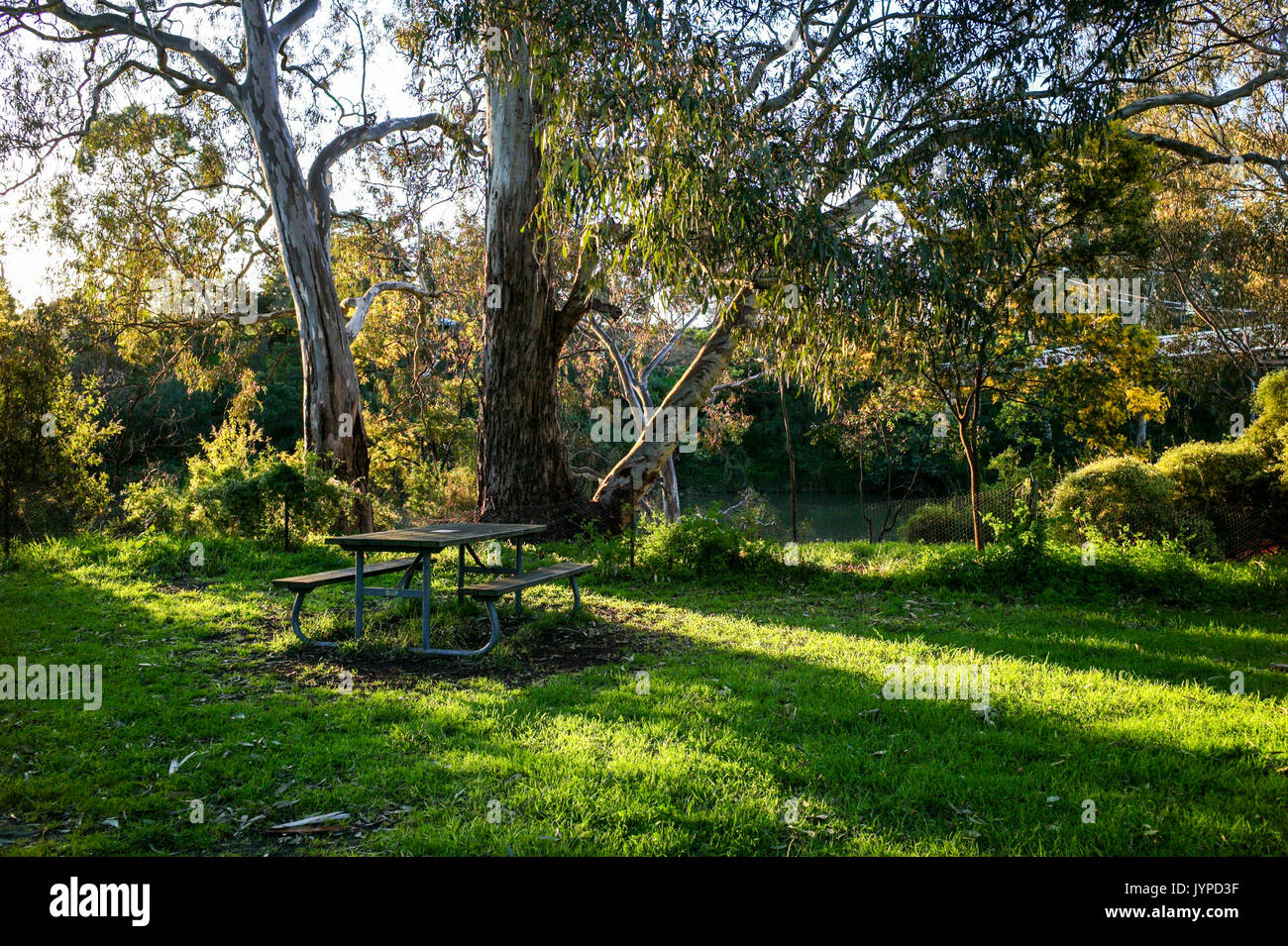 Picnic table in afternoon sunlight at Yarra Bend Park, Melbourne, Australia Stock Photo