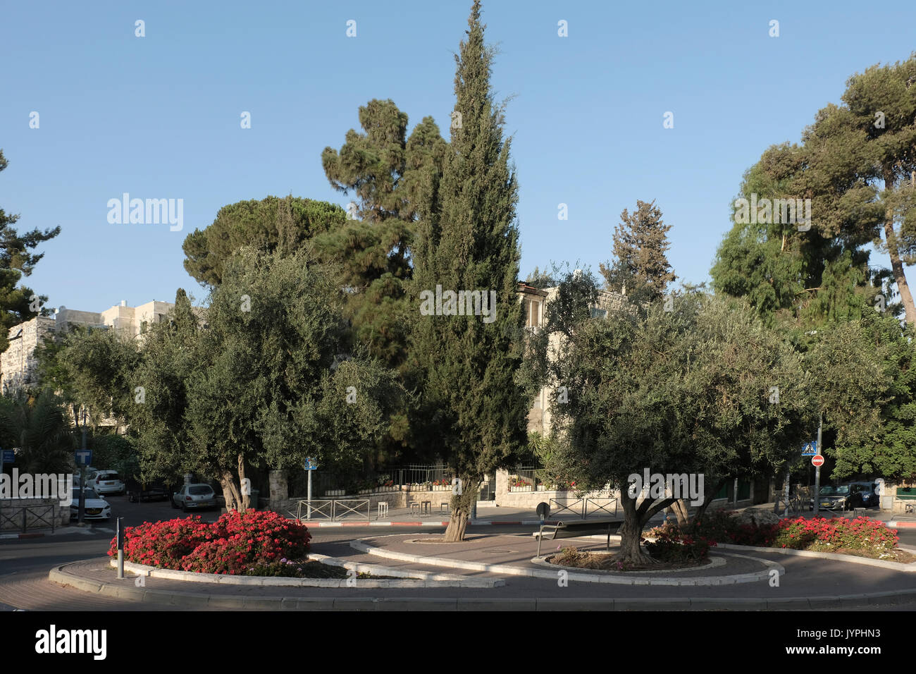 Katamon hires stock photography and images Alamy