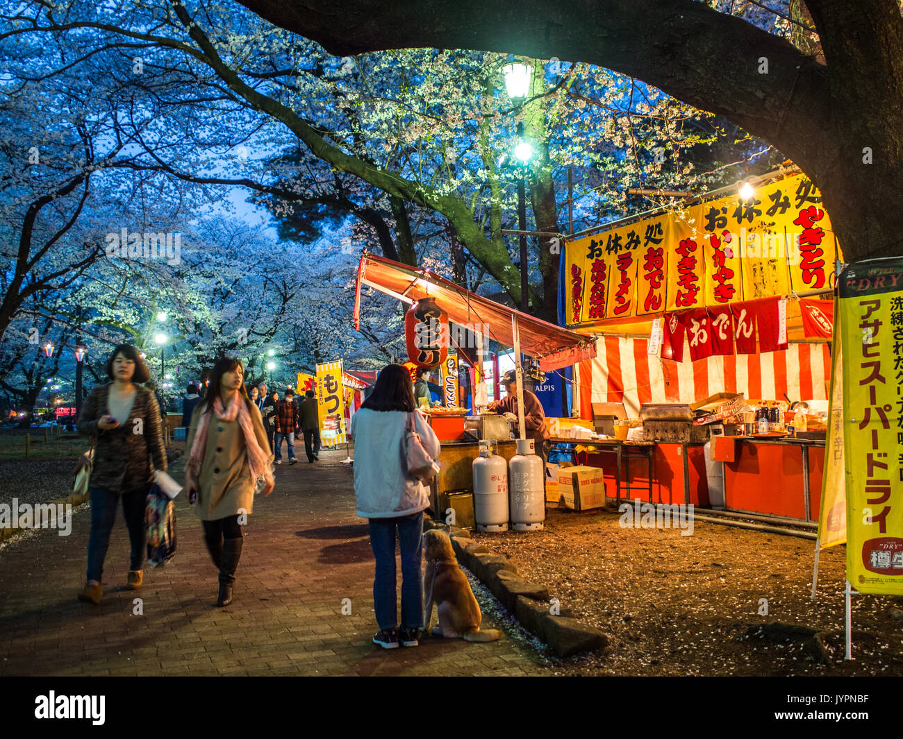 Celebrating hanami at Omiya Koen, Saitama, Japan Stock Photo