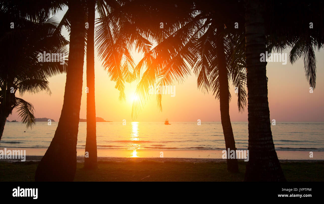 Sunset and silhouette of palm trees on the sea beach Stock Photo - Alamy