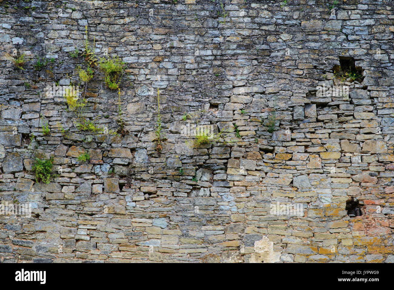 castle walls texture