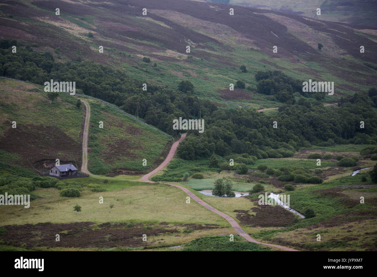 The view of moorland in the Borders of Scotland. The hills are popular hunting ground for grouse. Stock Photo