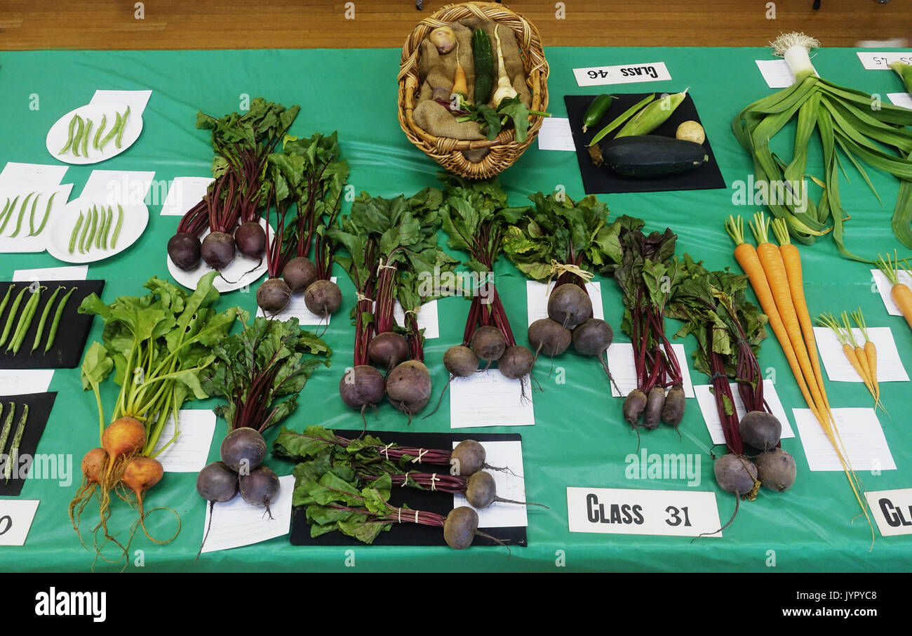 vegetables on display at a local horticultural society show Stock Photo