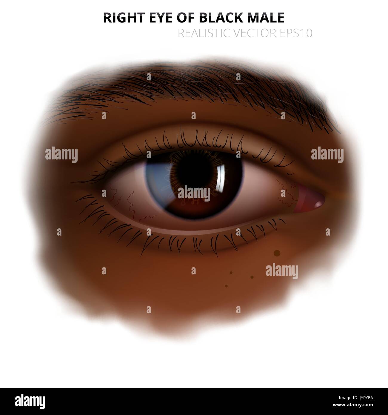 Realistic human eye. Detailed right eye of adult black woman or man with a glossy brown iris. Dark skin of face with a blurred transparent edge. Stock Vector