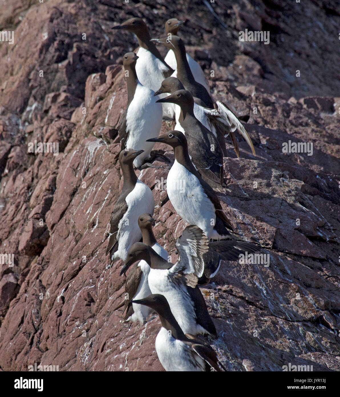 Verticle Ridge Line Vertical ridgeline hi-res stock photography and images - Alamy