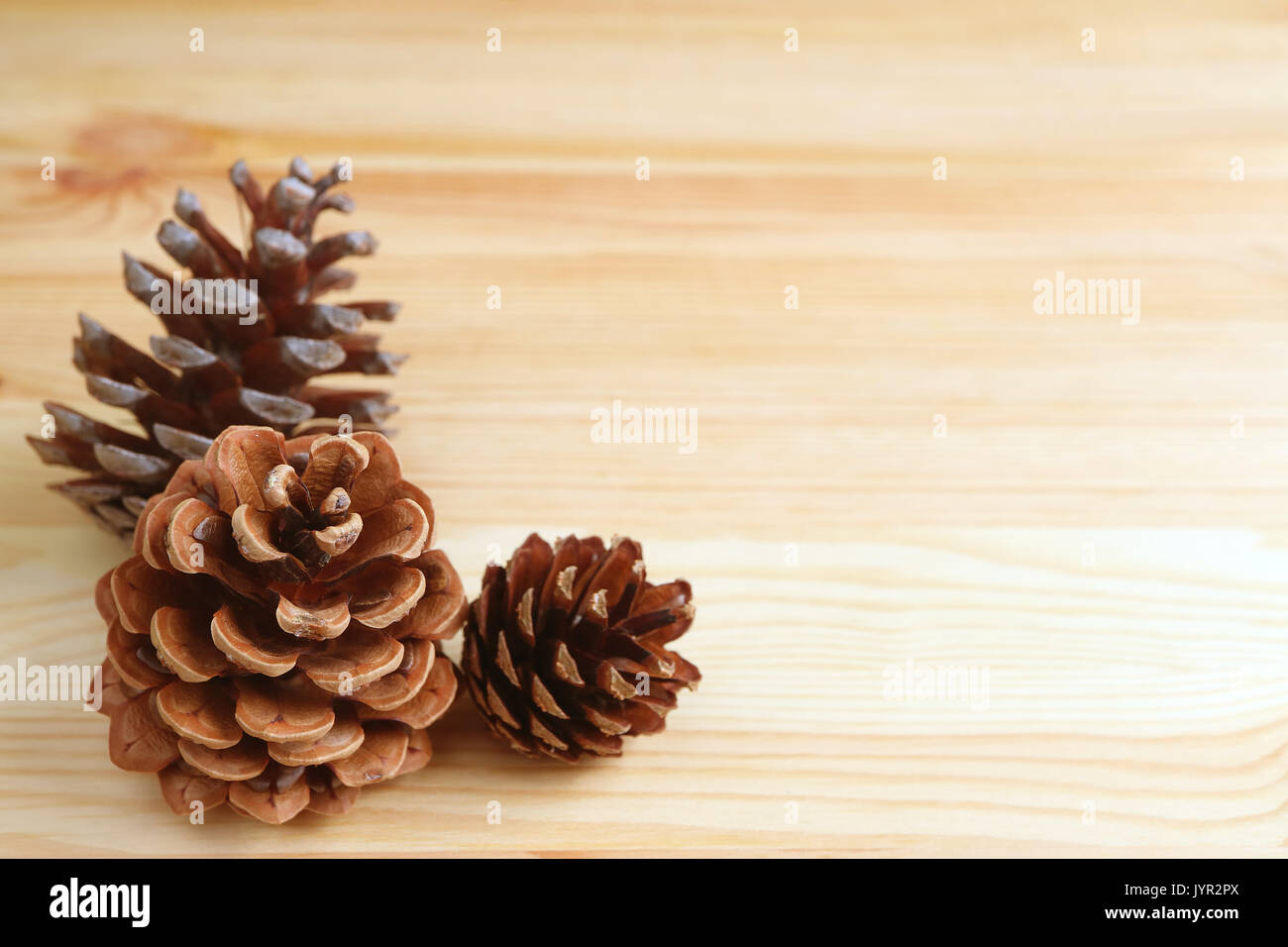 Three natural dry pine cones isolated on light brown wooden table, with free space for text and design Stock Photo