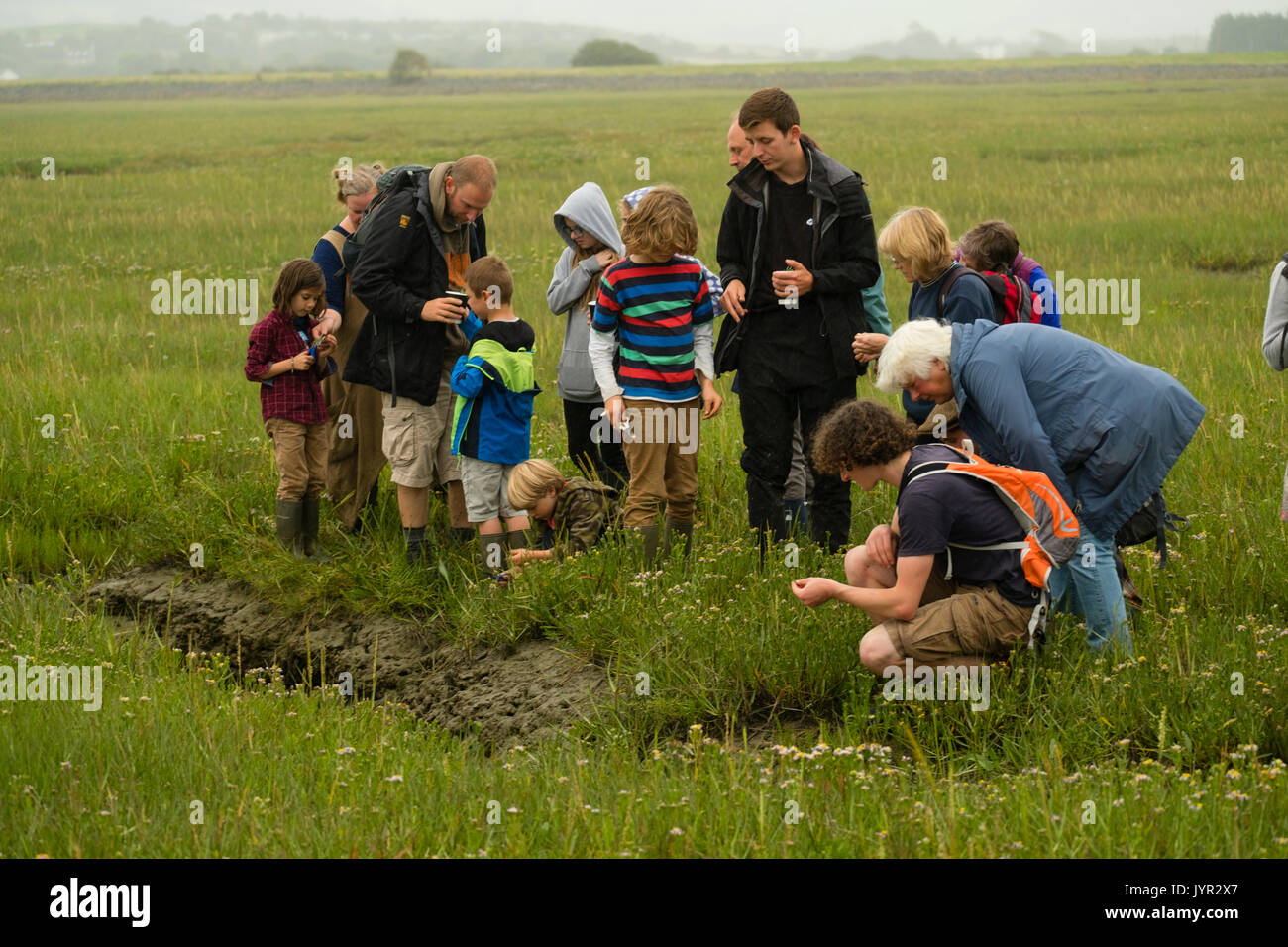 A group of people, lead by a Natural Resources Wales (NRW) warden,  foraging for wild Marsh Samphire  (Salicornia) and other foods growing on the seashore and marshlands at Ynyslas nature reserve in the Dyfi biosphere in mid Wales UK Stock Photo