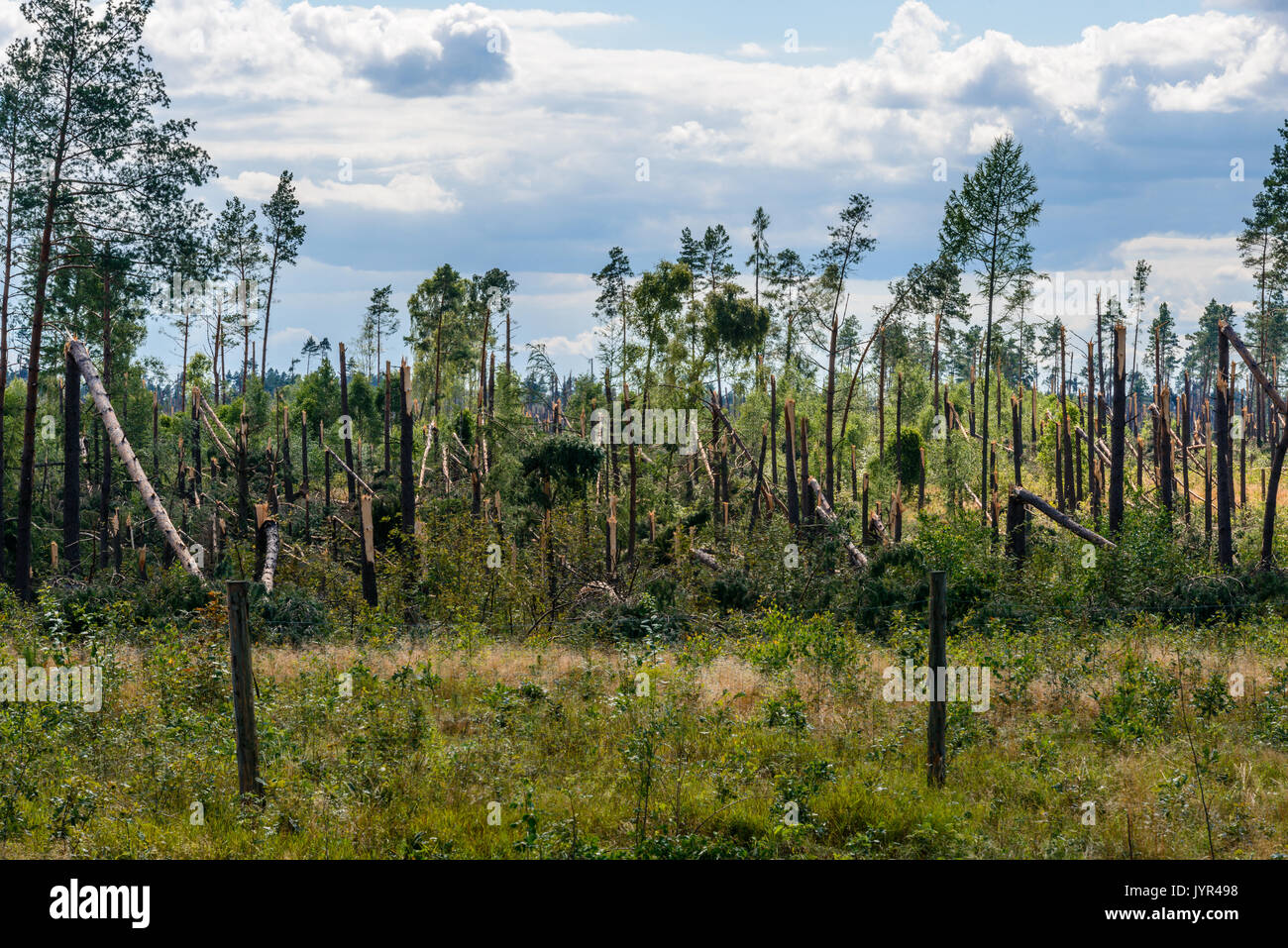 Old tornado damage hi-res stock photography and images - Alamy