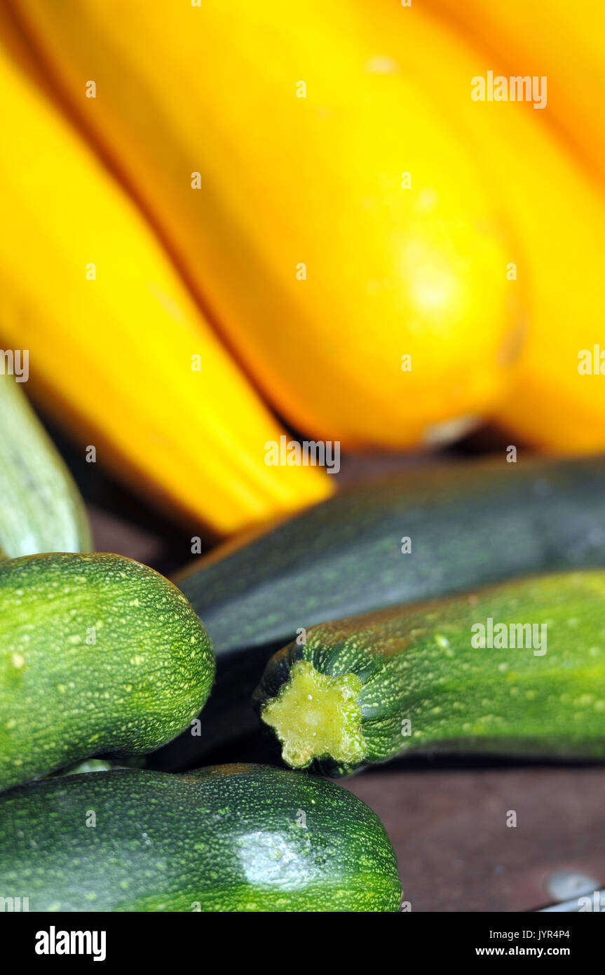 fresh produces corgettes and cucumbers for sale at a market Stock Photo