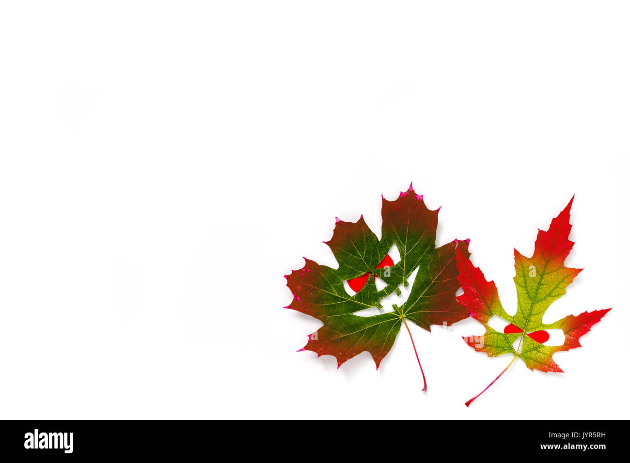 Halloween background - multi-colored scary faces with red eyes from maple leaves. White background. Copy space Stock Photo