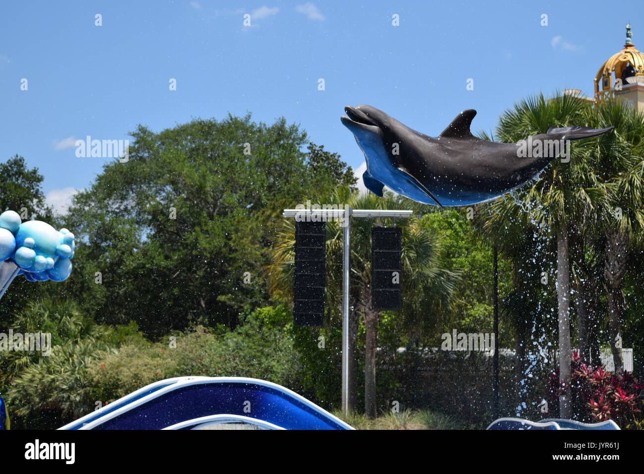 Dolphin Flying Through The Air Stock Photo