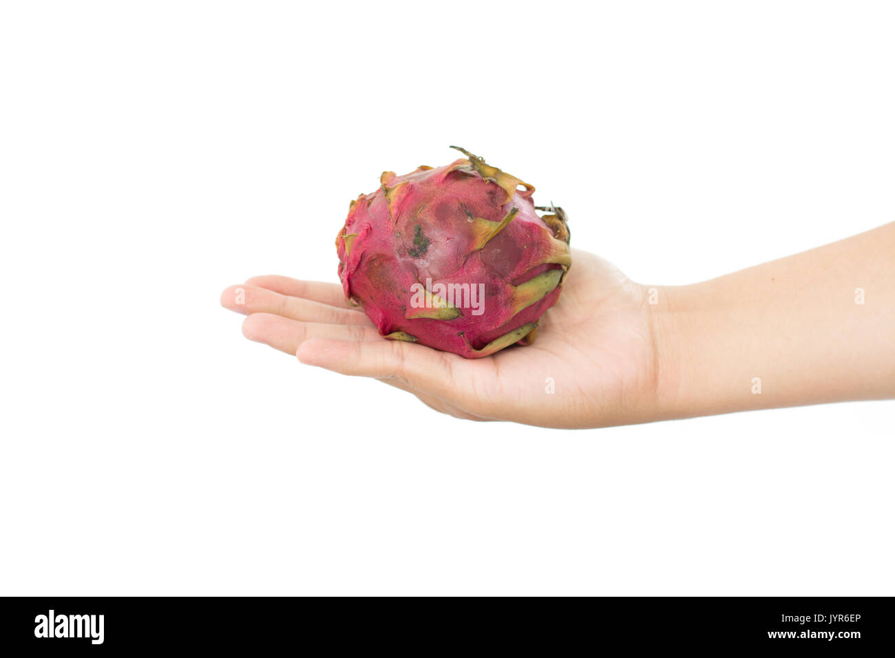 rotten dragon fruit in hand isolated on white background Stock Photo