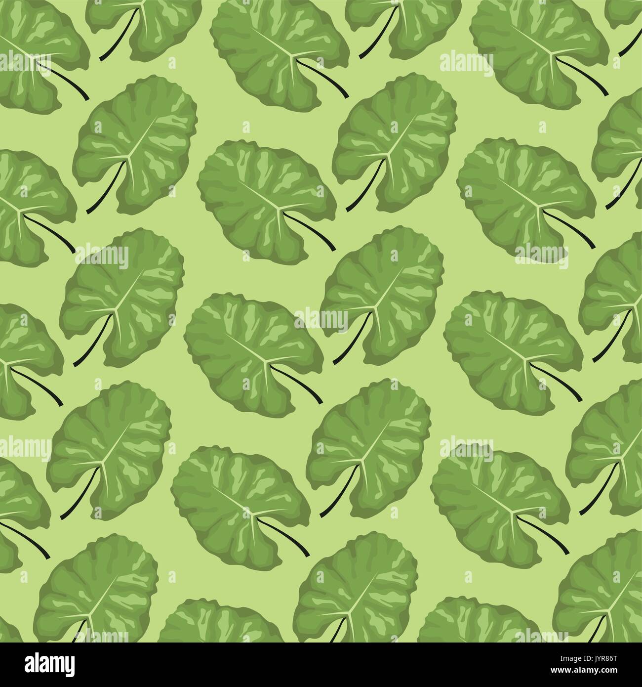 pattern color set decorative of tropical lanceolate green leaves Stock